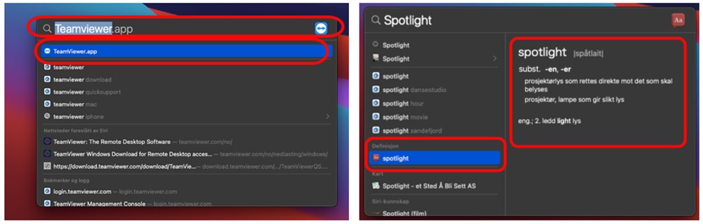 Skjermdump av søkeresultater